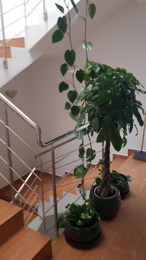 Dativo House Navodari Ngoại thất bức ảnh